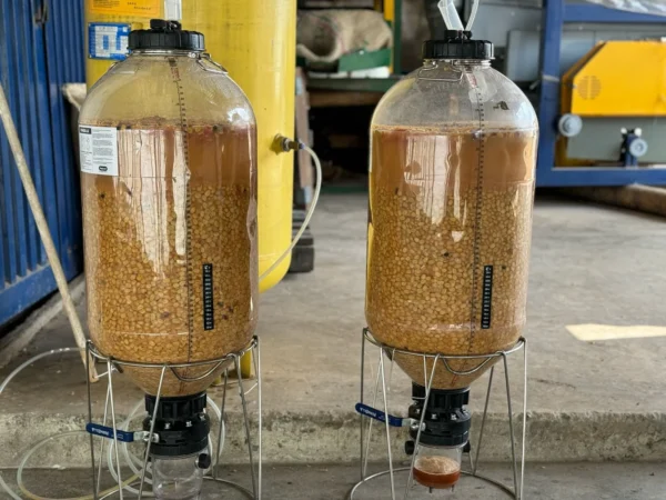 KOLOMBİYA - FINCA LA RIVERA - SIDRA SAKURA WASHED - Görsel 4